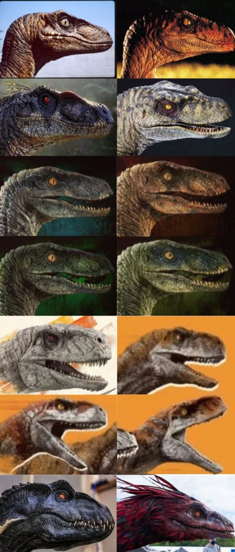 Jurassic Park 3 Raptor, Jurassic World Atrociraptor, Raptors Jurassic World, Jurassic World Hybrid Dinosaurs, Velociraptor Aesthetic, Lego Velociraptor, Imprimibles Jurassic Park, Velociraptor Art, Velociraptor Jurassic Park