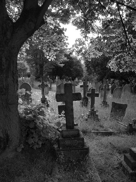 Hither Green Cemetery is a large cemetery located on Verdant Lane, in Whitefoot, London, England. The cemetery is situated between Catford, Hither Green, Grove Park and Lee. Creepy Cemetery, Old Cemetery, Graveyard Shift, Cemetery Headstones, Old Cemeteries, Cemetery Art, Last Ride, Horror Tattoo, Gothic Aesthetic