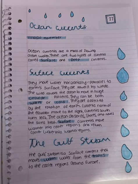 What do your notes look like? Marine Biology Sketchbook, Marine Science Notes, Marine Biology Study Notes Aesthetic, Marine Biology Notes Sharks, Marine Biology Study Notes, Oceanography Notes, Marine Biologist Aesthetic Notes, Marin Biology, Marine Biology Journal