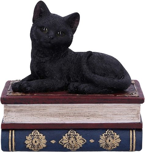 Nemesis Now Salems Spells Witches Familiar Black Cat and Spellbook Box, 11.7cm : Amazon.co.uk: Home & Kitchen Cat On Book, Witches Familiar, Witchy Home Decor, Cat Perch, Star Box, Resin Statue, Black Witch, Black Kitten, Tabletop Accessories