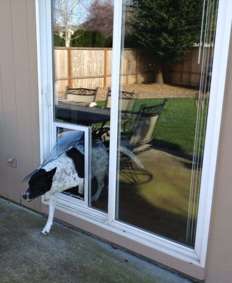 Pet Door Sliding Glass Door, Glass Dog Door, Sliding Glass Dog Door, Dog Door Ideas, Pet Door Ideas, Doggy Door, Doggie Door, Dog Doors, Sliding Glass Doors Patio