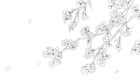 White Notion Cover, Manga Flowers, Bocas Anime, 桜 イラスト, Random Manga Panels, Sculpture Art Projects, Profile Cover, White Banner, Sakura Manga