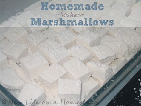 Homemade Marshmallows How To Be Self Sufficient, Rice Crispy Cereal, Living Off Grid, Vanilla Marshmallows, Pecan Bars, Marshmallow Cream, Recipes With Marshmallows, Homemade Marshmallows, Self Sufficient