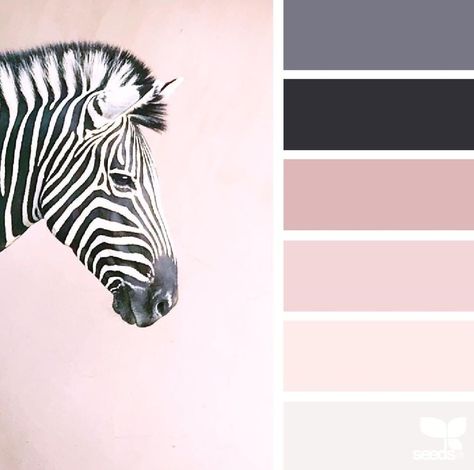 Seeds Color Palette, Black Archives, Seeds Color, Color Palette Pink, Bedroom Color Schemes, Design Seeds, Color Image, Bedroom Paint Colors, Trendy Bedroom