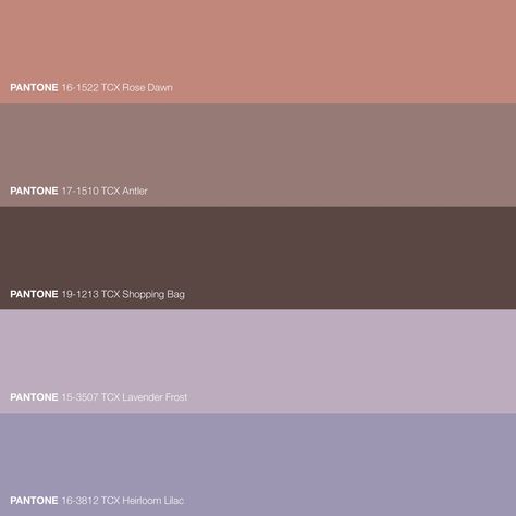 Html Color Codes, Pantone Colour Palettes, Fall Color Palette, Palette Color, Lo Fi, Html Color, Music Aesthetic, Color Stories, Color Wheel