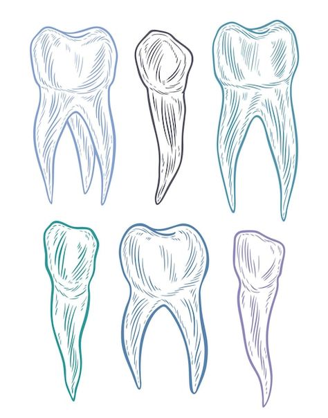 Dental Hygiene Tattoo, How To Draw A Tooth, Tooth Drawing Sketches, Dental Sketches, Dentist Doodle, Teeth Doodle, Tooth Doodle, Teeth Drawings, Dentist Drawing