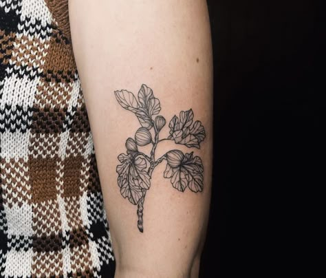 Fig Plant Tattoo, Fig Tree Tattoo The Bell Jar, The Bell Jar Tattoo, Bell Jar Tattoo, Fig Leaf Tattoo, Fig Tree Tattoo, Old Soul Tattoo, Florence Tattoo, Hip Tats