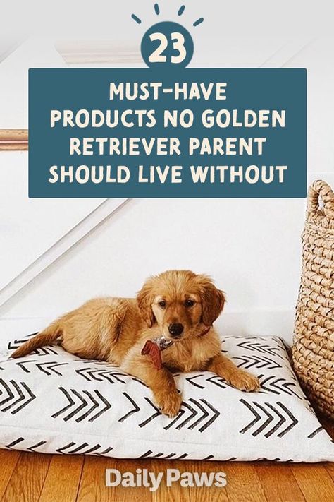 Golden Retriever Supplies, Preparing For Golden Retriever Puppy, Golden Retriever Puppy Collar, Golden Retriever Diet, Golden Retriever Care Tips, Golden Retriever Puppy Essentials, Getting A Golden Retriever Puppy, Golden Retriever Essentials, Golden Retriever Toys