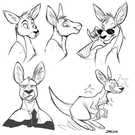 Kangaroo Character Design, Kangaroo Fursona, Kangaroo Sketch, Kangaroo Character, Kangaroo Drawing, Kangaroo Illustration, Practice Sketches, Kangaroo Art, Kangaroo Logo