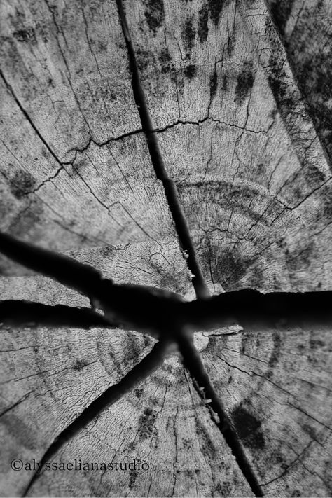 Dramatic black and white photo of interesting tree rings. This nature photography print would look stunning anywhere from the bathroom, kitchen, or laundry room to the guest room, nursery, or office! Perfect for someone that loves nature-inspired décor or wants an art piece to fit their modern, minimalist environment. Fine Art Black And White Photography, Natural Structures Photography, Natural Forms Black And White, Nature Abstract Photography, Abstract Nature Photography, Black And White Tree Photography, Depth Photography, Black And White Photography Nature, Nature Photography Black And White