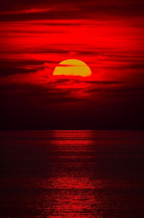 Red sunset Red Ocean, Sunset Red, Image Nature, Red Sunset, Red Sun, Amazing Sunsets, Sunset Wallpaper, Red Sky, Red Wallpaper