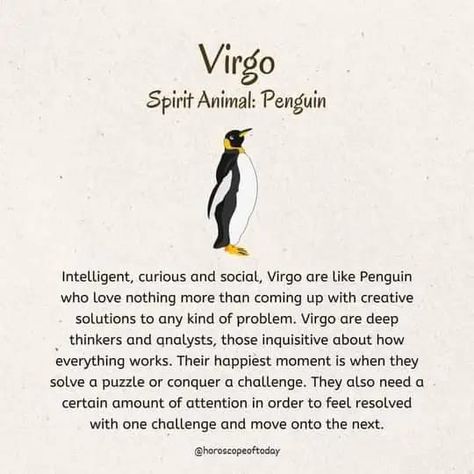 Penguin Soul All About Virgo, Leo Virgo Cusp, Virgo Girl, Spiritual Animal, Zodiac Elements, Virgo Quotes, Virgo Love, Virgo Women, Astrology Virgo