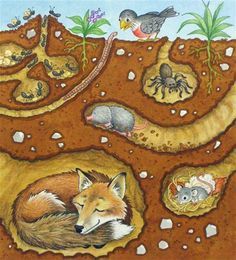 Free Underground Animals Cliparts, Download Free Clip Art, Free Clip Art on Clipart Library Underground Illustration, Animals That Hibernate, Animals And Plants, Free To Use Images, Forest School, Animal Habitats, Winter Animals, Elementary Art, Teaching Art