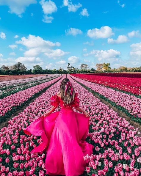 🌸 Raluca ✨London✨Travel 🌸 on Instagram: “Happy weekend from the most beautiful tulip fields in the UK! I’m so happy that I’ve managed to go this year as look at this beauty, so…” Photography In Flower Fields, Tulip Garden Photoshoot, Tulip Fields Photoshoot, Tulip Field Photoshoot, Farm Vibes, Dubai Outfits Ideas, Spring Moodboard, Amsterdam Tulips, Tulip Farm