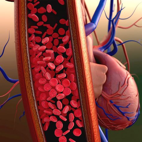 High Blood Pressure (Hypertension): Symptoms, Causes, Treatments Varicose Vein Cream, High Blood Pressure Medication, Normal Blood Pressure, Blood Pressure Medications, Lower Blood Pressure, Blood Vessels, Warning Signs, Blood Pressure, Diet