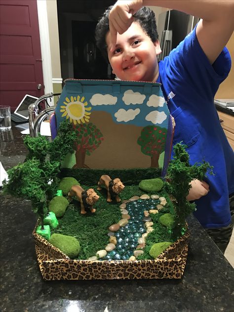 Animals' habitat Landform Projects, Biomes Project, Rainforest Project, Diorama Kids, Ecosystems Projects, Habitats Projects, Science Projects For Kids, Animal Science, Science Project