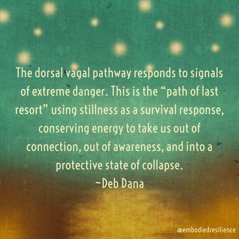 Deb Dana Polyvagal, Dorsal Vagal Shutdown, Dorsal Vagal, Be Still Quotes, Polyvagal Theory, Therapy Notes, Body Reset, Last Resort, Healing Touch