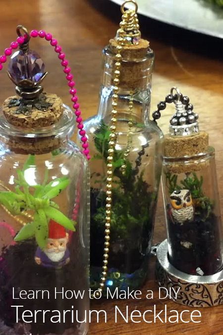 How to Make a DIY Terrarium Necklace                                                                                                                                                                                 More Make A Terrarium, Diy Terrarium, Mini Terrarium, Tiny Jars, Terrarium Jewelry, Terrarium Necklace, Wearing Jewelry, Miniature Bottles, Terrarium Diy