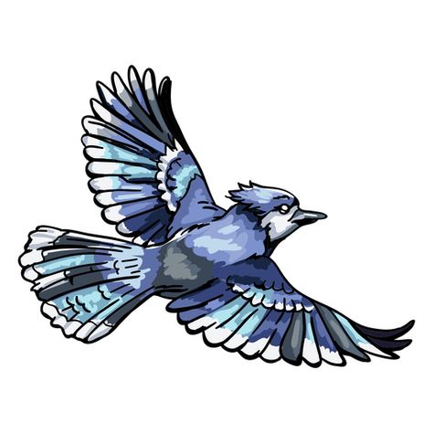 Realistic hand drawn blue jay flying #AD , #drawn, #hand, #jay, #flying, #Realistic Blue Jay Flying, Flying Blue Jay, Blue Jay Tattoo, Blue Jay Art, Skateboard Ideas, Marigold Tattoo, Parrot Tattoo, Fly Drawing, Flying Tattoo