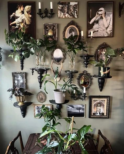 Dark Plant Living Room Aesthetic, Garden Witch Home Decor, Moody Kitchen Dining Room, Wall Of Shelves Ideas, Dark Botanical Aesthetic Room, Gothic Plant Room Aesthetic, Goth Plant Aesthetic Bedroom, Dark Room Plants Aesthetic, Gothic Cottage Core Decor