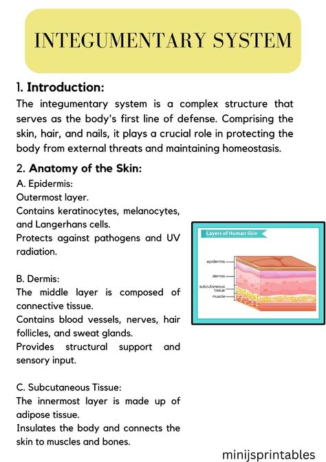 check insta page for further details  to download full notes contact me thru instagram page Integumentary System Notes Nursing, The Integumentary System Notes, Integumentary System Notes, Esthetician Study Notes, Integumentary System Project, Cna Notes, Paramedic Study, Anatomy And Physiology Notes, The Integumentary System