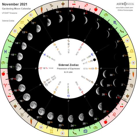 Biodynamic Gardening Moon Calendar - November 2021 Planting By The Moon, Gardening By The Moon, Harvesting Garden, Horoscope Calendar, Soil Activities, Biodynamic Gardening, Moon Phases Calendar, Zodiac Signs Elements, Nature Calendar