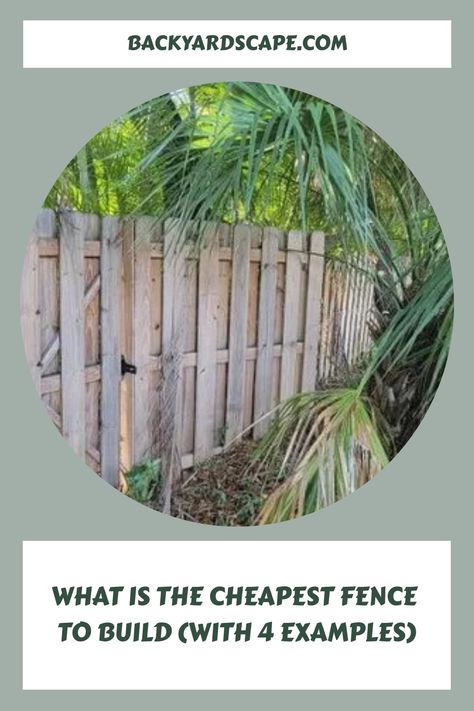 Is your current fence looking ragged with warped or rotten pickets or leaning severely? If so, you’re probably contemplating what is the cheapest fence to build to replace your current fence. Materials and labor costs have gone through the roof lately, especially outdoor projects such as fences. Thankfully, there are several fencing options to choose Cheap Fence Ideas, Chain Link Fence Privacy, Corrugated Metal Fence, Fencing Options, Jasmine Vine, Wood Privacy Fence, Split Rail Fence, Growing Vines, Honey Locust