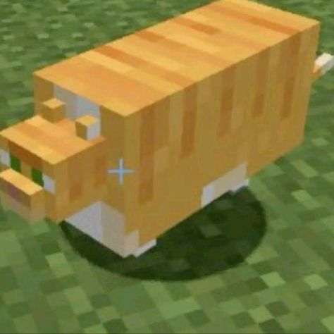 Cat Tree Minecraft, Pet Daycare, Cat Pen, Pet Beds Cat, Cat Icon, Fat Cats, Cat Tree, Animal House, Orange Cat