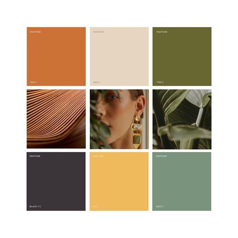 November Color Palette, November Colors, Cinnamon Color, Design Agency, Colour Palette, Packaging Design, Color Palette, Branding, On Instagram