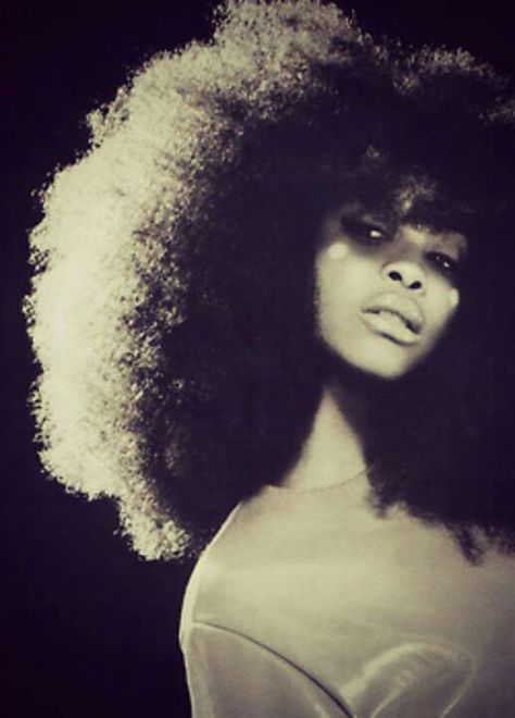 Erykah Badu Hair Afro, Erykah Badu, Neo Soul, Natural Hair Inspiration, Va Va Voom, Amy Winehouse, 인물 사진, Girls Rock, Black Culture