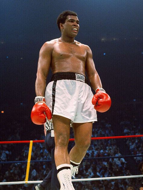 Jimmy Young v Muhammad Ali Father Picture, Laila Ali, Sting Like A Bee, Float Like A Butterfly, Why Her, I Respect You, Women Boxing, Black Pride, Muhammad Ali