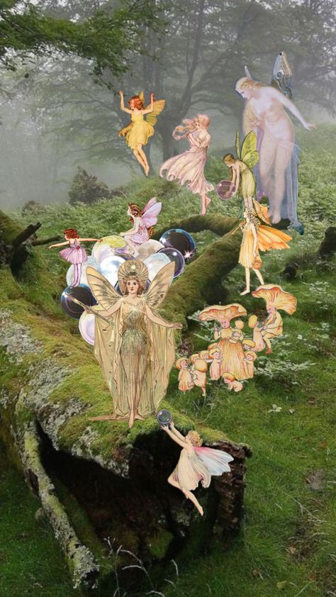 fairy harvest #myfirstshuffle Witch Picnic, Fairy Aesthetic, Fairy Wings, Flower Fairy, Pastel Art, In The Woods, Fantasy Creatures, Pretty Wallpapers, Fairy Garden