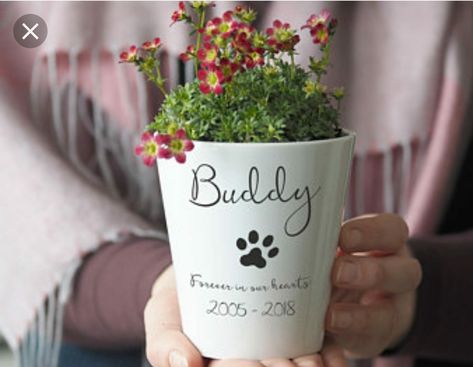 Pet Memorial Ideas Dogs, Remembrance Flowers, Memorial Plants, Memorial Ideas, Pet Remembrance, Pet Sympathy Gifts, Memorial Flowers, Personalized Pet Memorial, Loss Of Dog