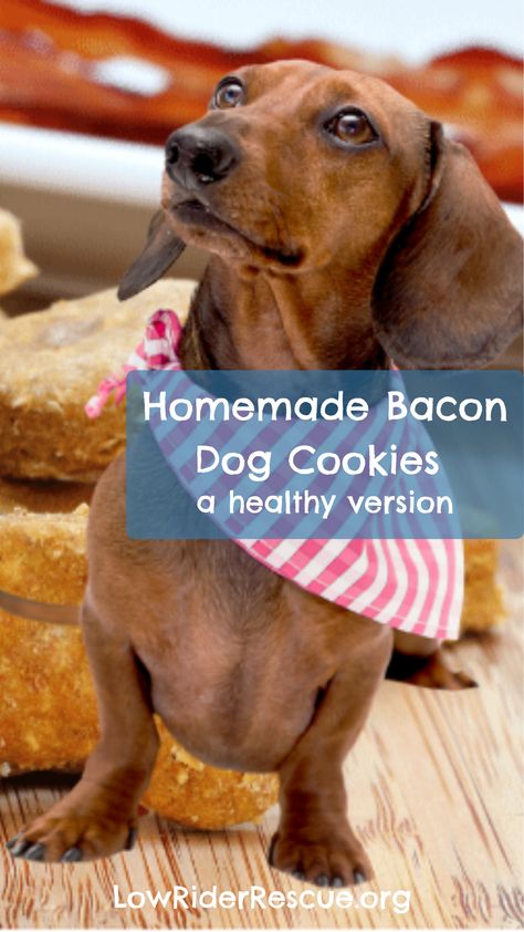 Homemade Bacon Dog Cookies - a healthy version Recipes Using Bacon, Baby Treats, Bacon Dog Treats, Human Food For Dogs, Treat Business, Cook Dog Food, Bacon Dog, Homemade Bacon, Animal Treats