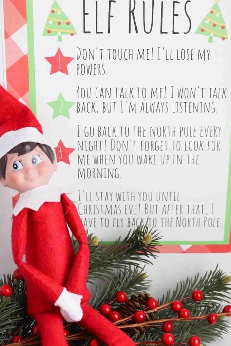 Understanding the Elf on the Shelf Rules makes it easy to have some holiday fun with your Elf visiting from the North Pole. Elf On The Shelf Jesus Is The Reason, Elf On The Shelf Rules For Kids, Elf Rules, Elf On The Shelf Cheat Sheet, Second Elf On The Shelf Arrival, Elf On The Shelf Introducing New Elf, Ideas For Elf On The Shelf, Elf On The Shelf Rules, Elf On The Shelf Letter