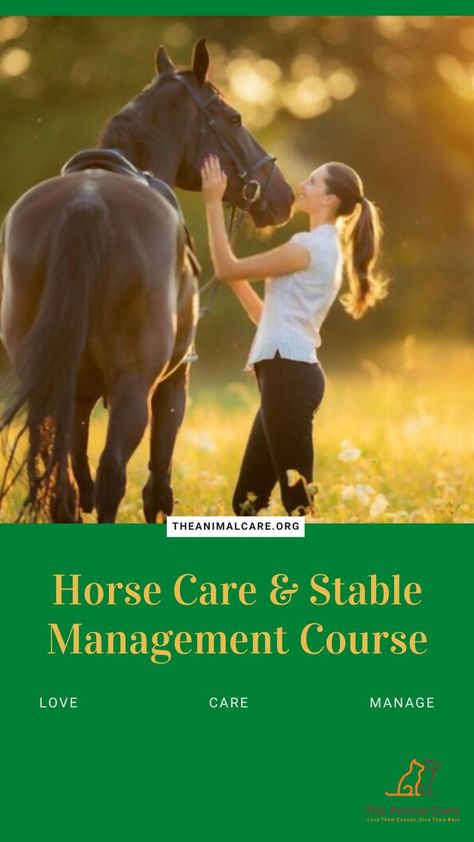 Premium quality online course on horse care and stable management Stable Management, Equine Barns, Course Overview, Animal Care, Horse Care, Horse Stuff, Stables, Pet Care, To Learn