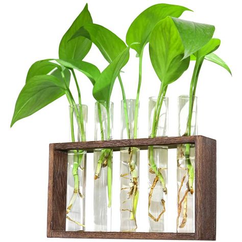 Hanging Glass Planters, Hanging Glass Vase, Test Tube Vase, Propagation Station, Bulb Vase, Plant Terrarium, Hydroponic Plants, Glass Planter, Plant Vase