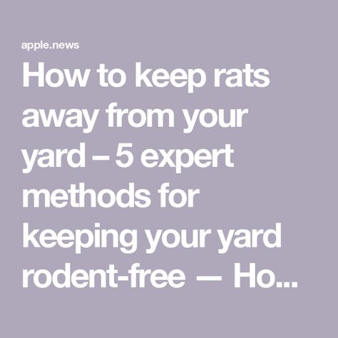 How to keep rats away from your yard – 5 expert methods for keeping your yard rodent-free — Homes & Gardens Rodents, Patio Area, What Can I Do, Rats, Planting Flowers, Home And Garden, Yard