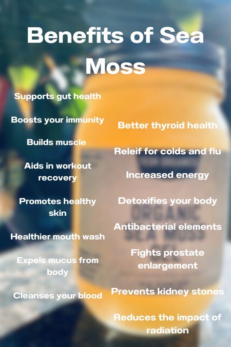 Benefits of Sea Moss Benefit Of Sea Moss, Benefits Of Irish Sea Moss, Sea Moss Recipes, Sea Moss Benefits, Benefits Of Sea Moss, Healthy Juice Drinks, Metabolism Diet, Fast Metabolism Diet, Detoxify Your Body