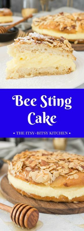 A recipe for bee sting cake--a delicious German dessert made with a yeasted cake topped with honey and almonds and filled with sweet pastry cream; it's the perfect dessert for your #Oktoberfest festivities! #Oktoberfestbash #Oktoberfestrecipe German Dessert, Bee Sting Cake, German Desserts, Sweet Pastry, Bee Sting, Pastry Cream, Honey Recipes, Sweet Pastries, Köstliche Desserts