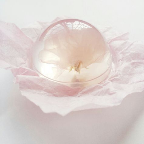 Sakura jelly dessert Sakura Dessert, Sakura Jelly, Dessert Jelly, Stuff Aesthetic, Jelly Desserts, Soft Aesthetic, Japanese Sweets, Pink Aesthetic, Mochi