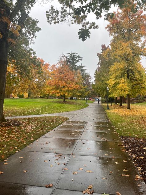 Rainy Environment, Rainy Autumn Day, Rainy Aesthetic, Rainny Day, Rainy Fall Day, Rain Season, Rain Street, Fall Rain, Rainy Autumn