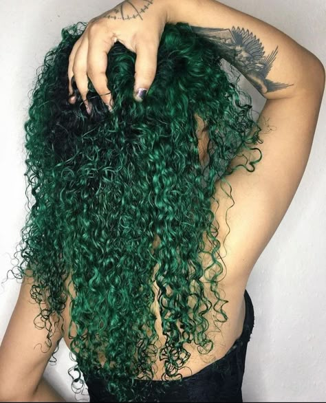 Dark Green Hair Dye, Green Curly Hair, Green Hair Color Ideas, Green Hair Color, Green Hair Girl, Black Hair Inspiration, Dark Green Hair, Green Hair Dye, Juniper Green