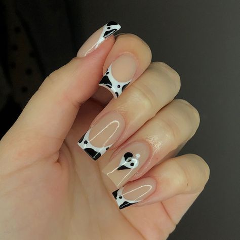 French Tip Country Nails, Heart Cow Print Nails, Cow Print French Nails, Blue Cow Print Nails Acrylic, Valentines Cow Print Nails, Cow Valentines Nails, Chrome Cow Print Nails, Color Cow Print Nails, Cow Print Tip Nails