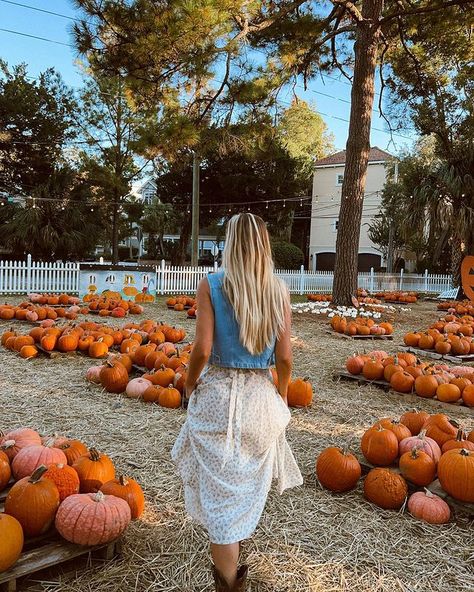 Pumpkin Picking Aesthetic, Fall Pumpkin Patch Outfit, Pumpkin Patch Aesthetic, Fall Szn, Pumpkin Patch Photoshoot, Pumpkin Patch Pictures, Fall Photo Shoot Outfits, Fall Pics, Pumpkin Pictures