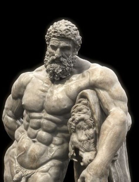 Hercules Statue, 남성 근육, Male Body Drawing, Ancient Greek Sculpture, Anatomy Sculpture, Classic Sculpture, Gym Art, Greek Statues, Ancient Greek Art