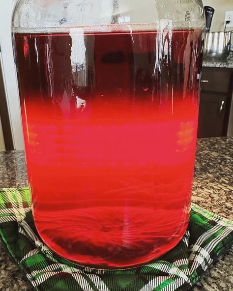 A refreshing Strawberry Melomel (mead) recipe. Can be made now and ready for Spring. Strawberry Mead Recipe, Melomel Recipe, Mead Drinks, Scottish Hunting Lodge, Mead Making, Mead Recipes, How To Make Mead, Mead Recipe, Mead Wine