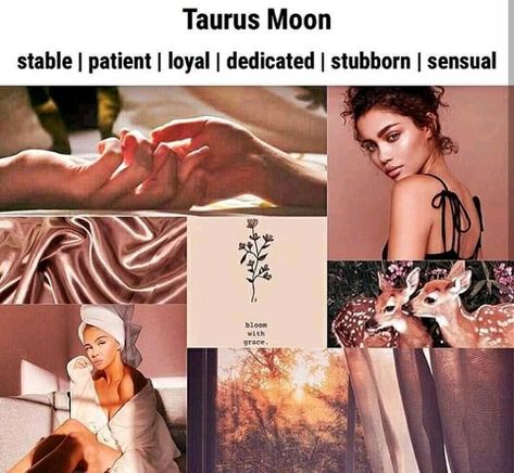 Taurus moon Moon Makeup, Jupiter Sign, Saturn Sign, Virgo Personality, Taurus Moon, Taurus Quotes, Star Goddess, Trend Forecast, Birth Chart Astrology