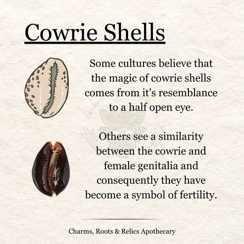 Cowrie shells are quite popular in African cultures as they were one of the earliest forms of currency used by traders up until the 20th century. The Ghanaian currency, Cedi, is named after the cowrie. These timeless and history rich elements have been used by diviners to tap into the ancient knowledge of the ancestors and the Orishas. They are also added to Gris Gris bags to help attract prosperity, wealth and fertility. Note that the divination system shown here is Obi divination and it's... Cowrie Shell Meaning, Cowrie Shell For Beach Season, Cowrie Shell Divination, Adjustable White Cowrie Shell, Beaded Cowrie Shell-shaped Jewelry, Folk Magic, Spiritual Psychology, Witchcraft Books, African Traditions