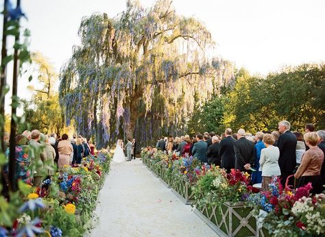 B02ff446 b275 b884 e4a0 8a6d5d8d8591~rs 729 Weeping Willow Wedding, Willow Wedding, Ceremony Design, Wedding Elements, Wedding Venue Decorations, Weeping Willow, Countryside Wedding, Dream Wedding Ideas Dresses, Future Wedding Plans